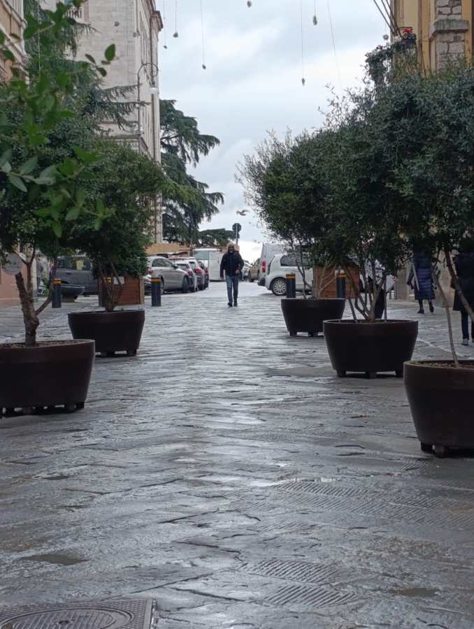 Vista di una strada con alberi in vasi, persone che camminano sotto un cielo nuvoloso a Perugia.