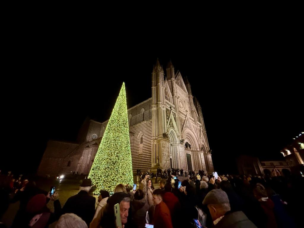 A brightly illuminated Christmas tree stands in front of the gothic-style church at night, surrounded by a crowd of people holding their phones, capturing the festive atmosphere.