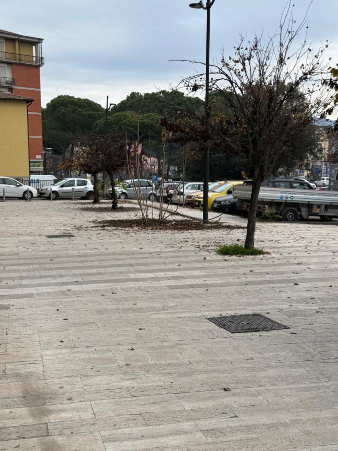 View of a parking area with several cars, trees with sparse foliage, and a cloudy sky in the background.