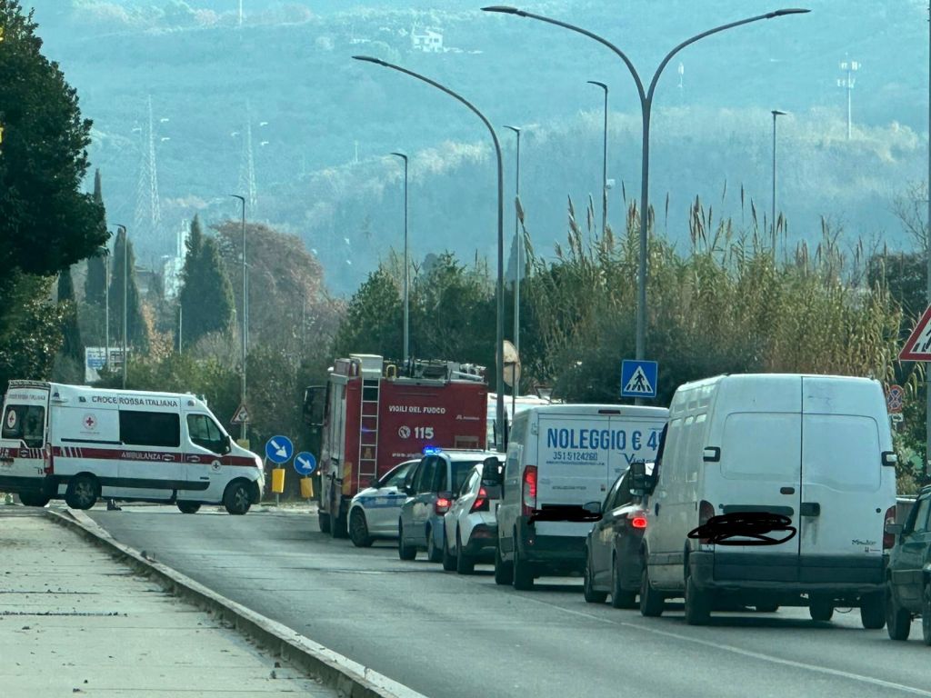 An emergency scene on a road with an ambulance, a fire truck, and multiple vehicles in line, surrounded by greenery and traffic signs.