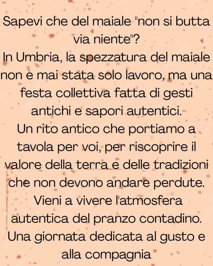 A text image promoting the tradition of pig farming and communal meals in Umbria, emphasizing the value of local culture and authentic flavors.