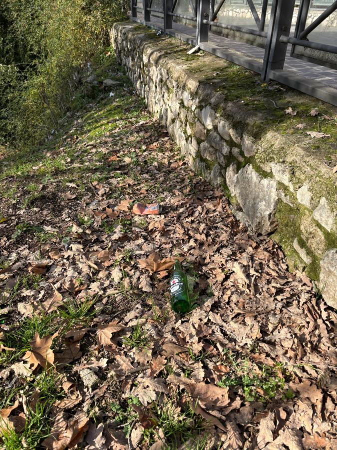A green glass bottle and a piece of litter are lying among fallen leaves near a stone wall.