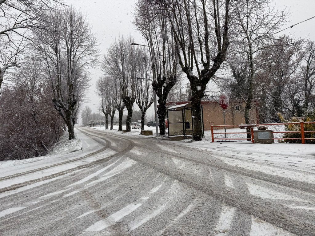 Strada innevata con alberi ai lati e cartello di stop, in una giornata di neve a Montone, Umbria.
