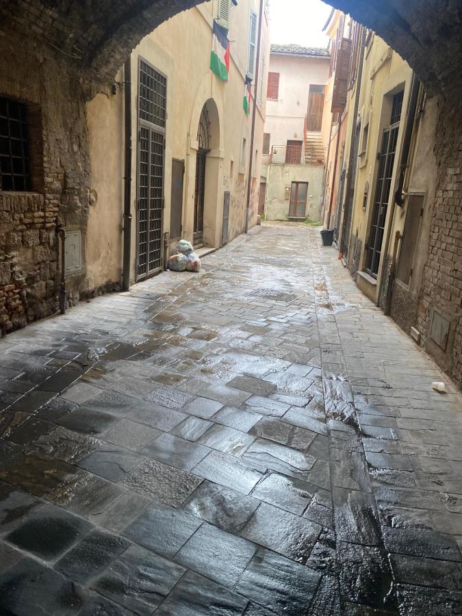 A narrow, wet cobblestone alleyway flanked by old buildings, with a glimpse of a green trash bag and the distant view of a window at the end of the passage.