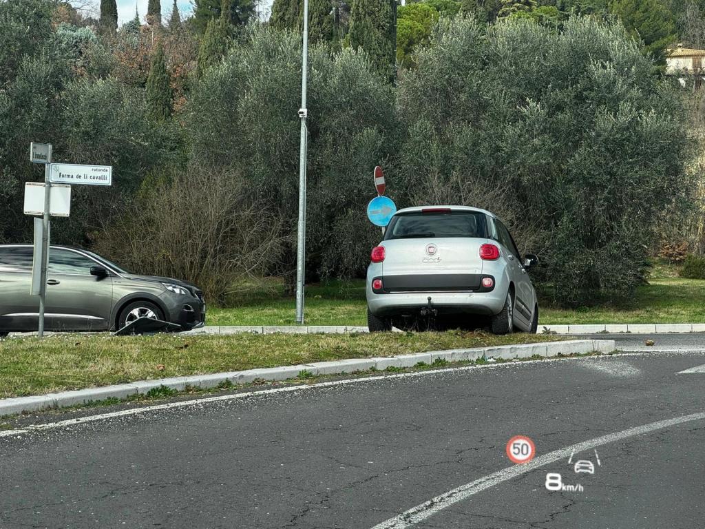 Two parked cars on a roadside near traffic signs indicating a roundabout and speed limits, surrounded by olive trees.