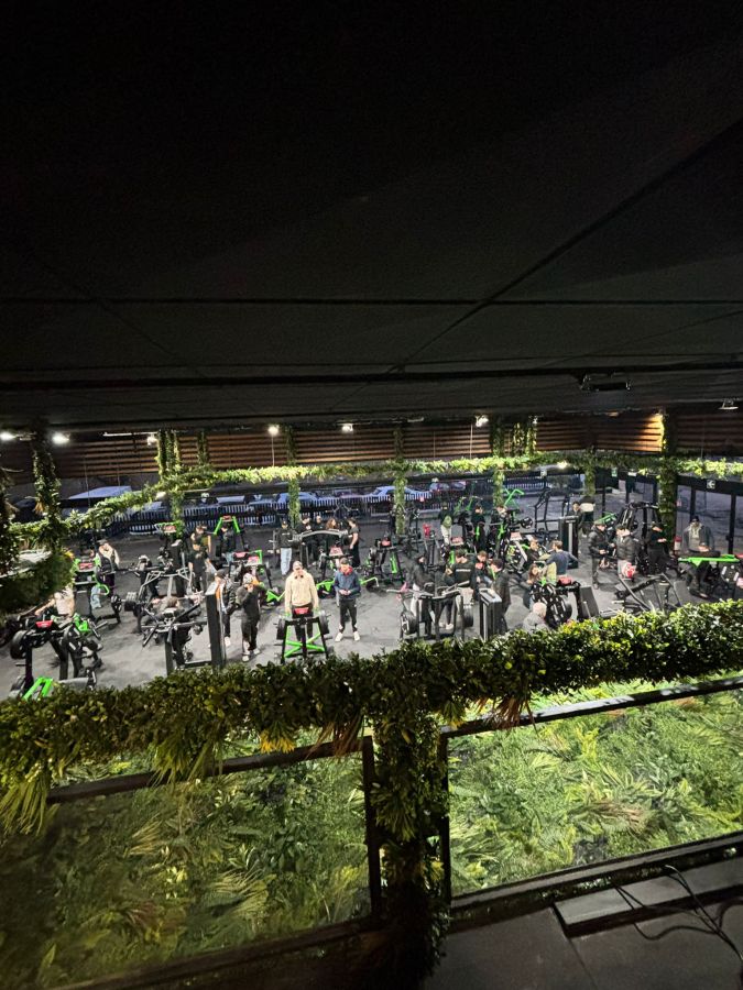 A view of a modern gym filled with various exercise equipment and several people working out, featuring green plants in the decor.