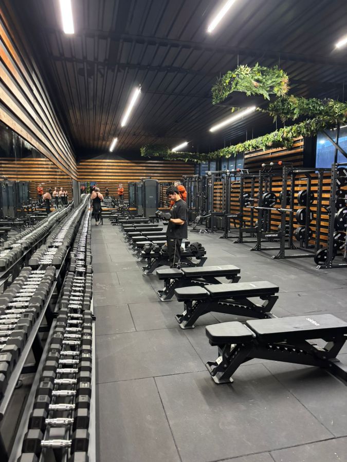 Interior view of a modern gym with rows of dumbbells, weight benches, and exercise equipment. Two people are visible in workout attire, engaged in activities. The ceiling features greenery, enhancing the aesthetic ambiance.
