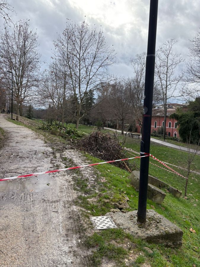 A pathway in a park with bare trees, a light pole, and a section marked off with red and white tape due to maintenance or safety concerns.