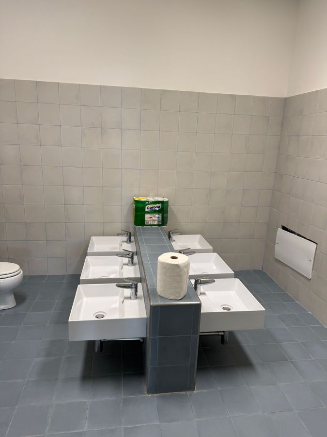 A clean bathroom with six white sinks lined up on a central partition, a roll of paper towels on the counter, and a toilet visible in the background.