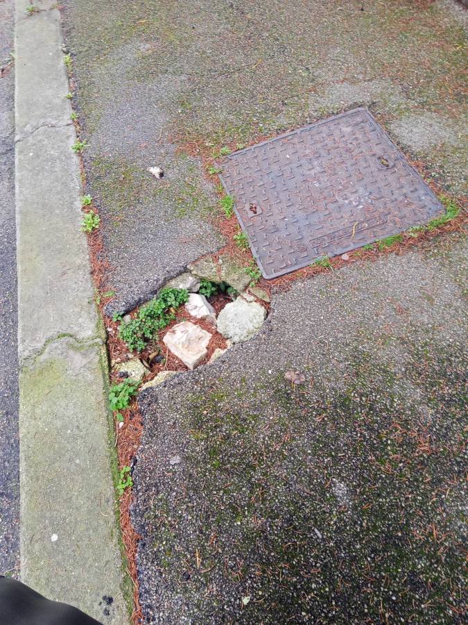 A section of pavement with a noticeable pothole, revealing rocks and greenery, adjacent to a metal drain cover.
