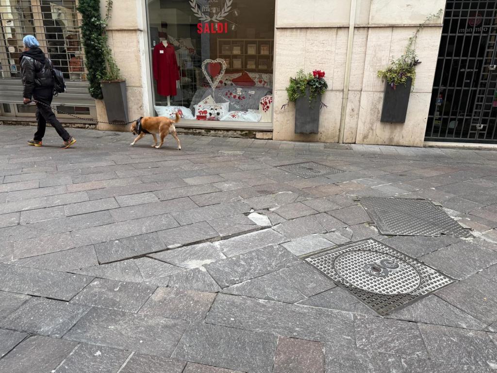 A person walking a dog on a stone sidewalk in front of a store displaying a 'SALE' sign and decorative items.