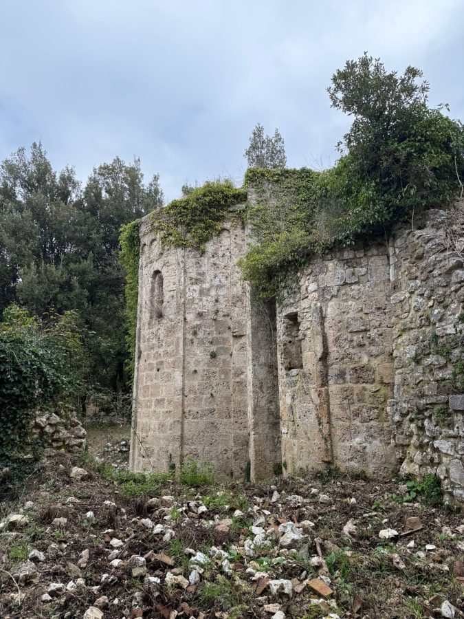 Ruins of a stone structure covered in vegetation, surrounded by rocky ground and trees under a cloudy sky.