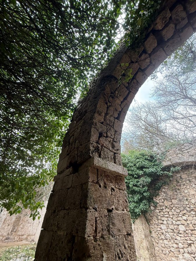 An arch made of stone, partially covered by green leaves, with a blue sky visible in the background.