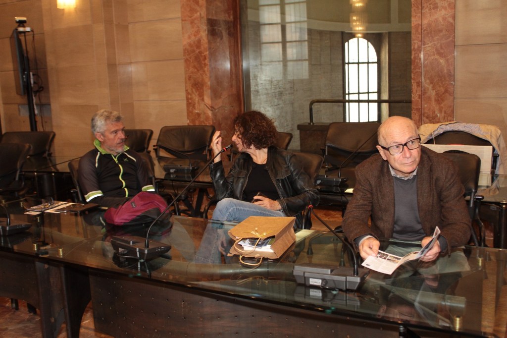Three people seated at a conference table in a formal setting, with microphones and documents in front of them.