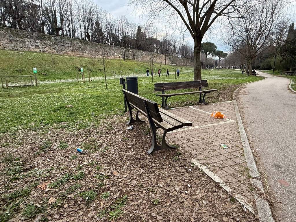 An empty park scene featuring a bench on a path surrounded by grass and trees, with some litter visible on the ground and a distant walking path.