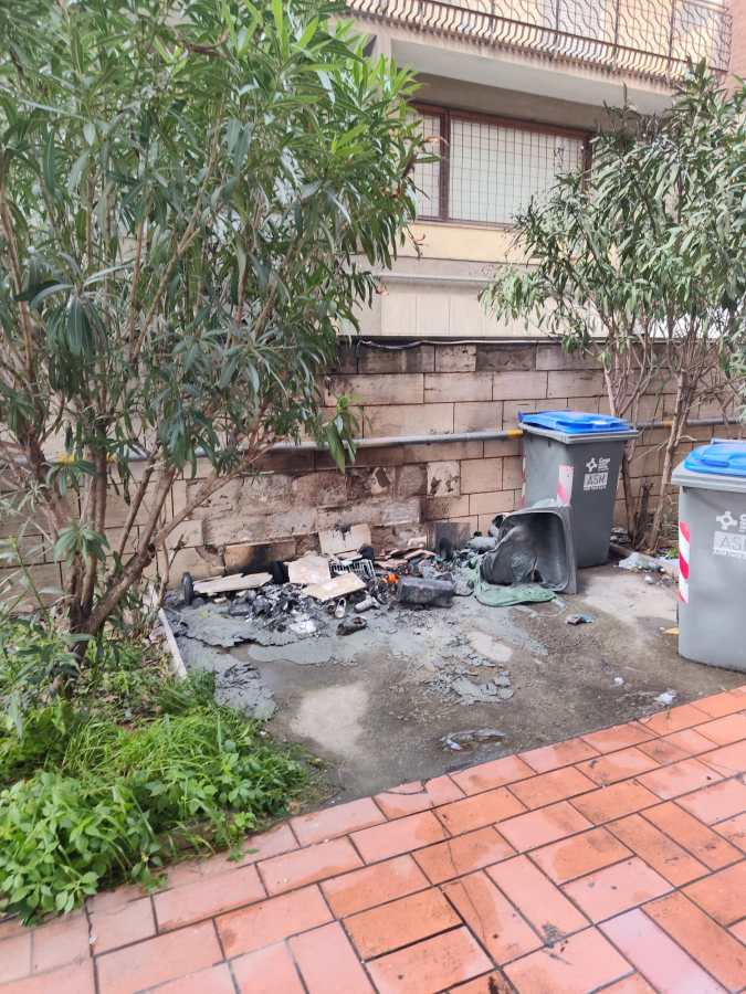 A damaged outdoor area with ash and debris from a fire, surrounded by greenery and two trash bins.