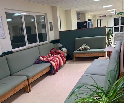 A waiting area with green sofas and a red blanket draped over one, featuring plants and a door in the background.